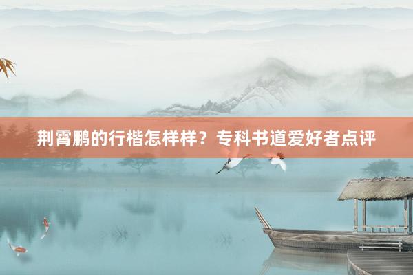 荆霄鹏的行楷怎样样？专科书道爱好者点评